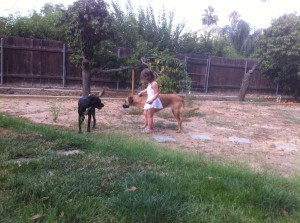 Gracie, Annie, and Razi