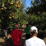 Me, Willem, and Taylor going through the tree tunnel