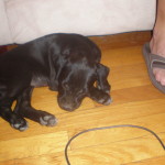 Baby sleeping by her daddy's foot